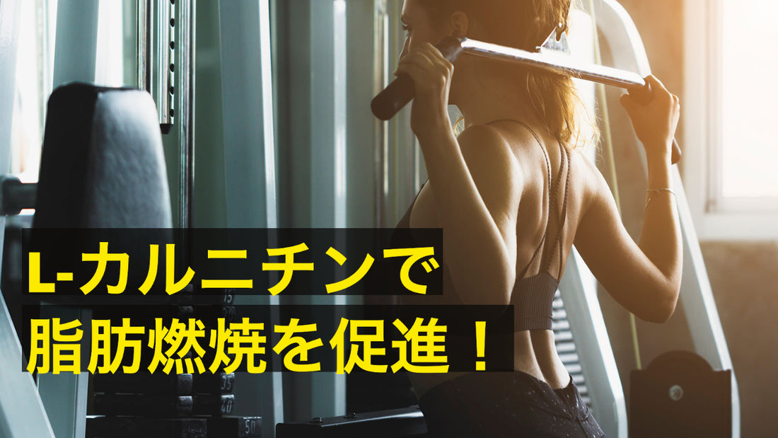 l-carnitine 効果 L-カルニチンで脂肪燃焼を促進!トレーニングの効果を高めよう! – Bodi Cafe