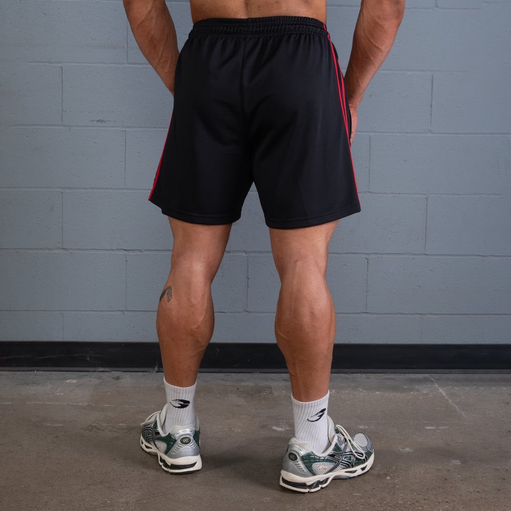 GASP 2 Stripe Standard Mesh Shorts 4" Black/Red