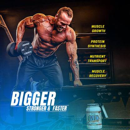 SizeOn - Maximum Performance - GASPARI NUTRITION