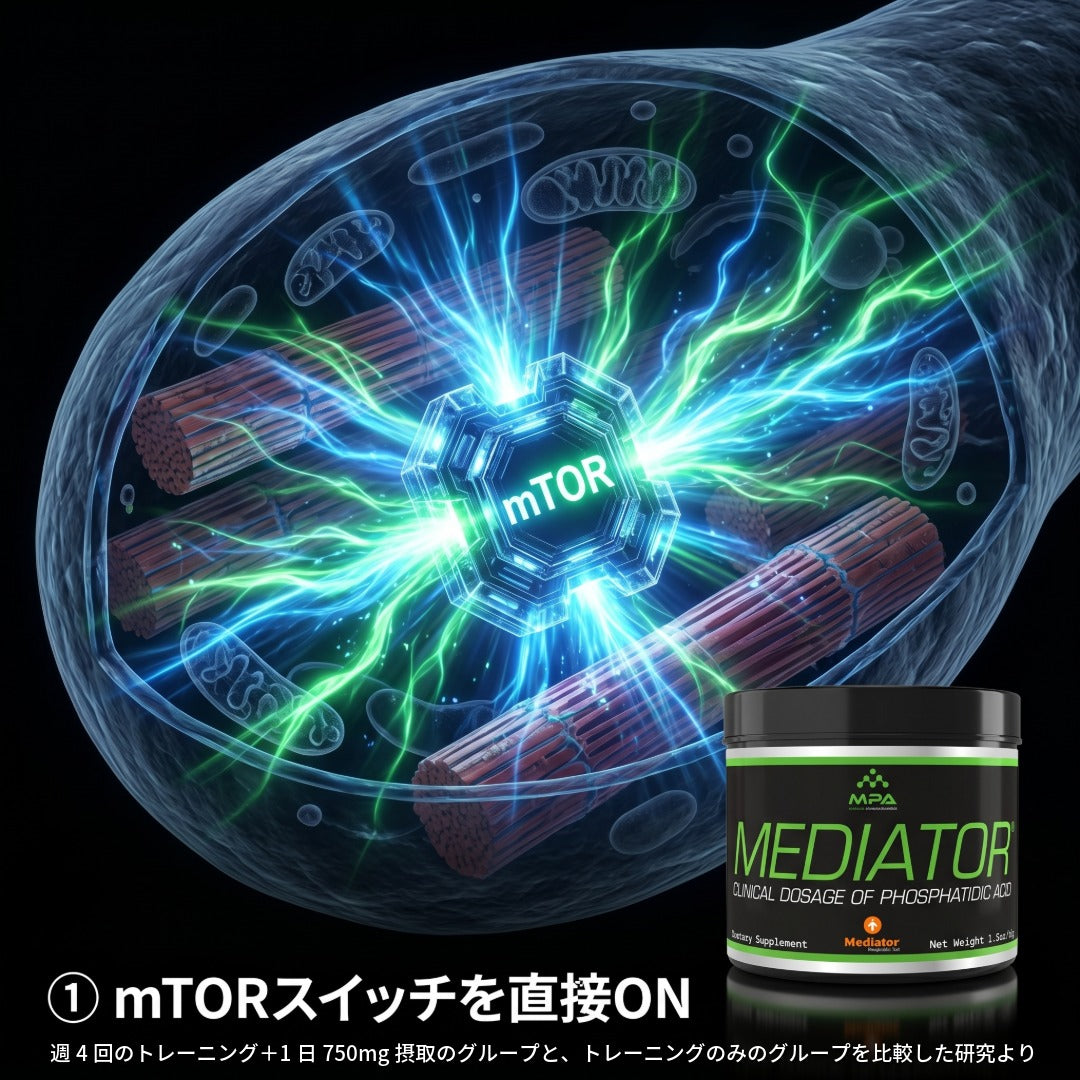  Mediator® ホスファチジン酸｜筋肥大サポートパウダー