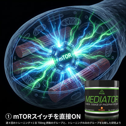  Mediator® ホスファチジン酸｜筋肥大サポートパウダー