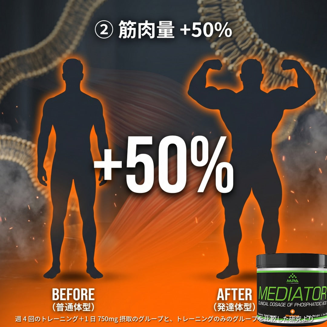  Mediator® ホスファチジン酸｜筋肥大サポートパウダー