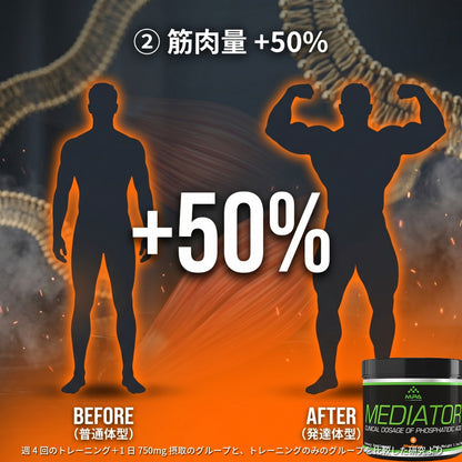  Mediator® ホスファチジン酸｜筋肥大サポートパウダー